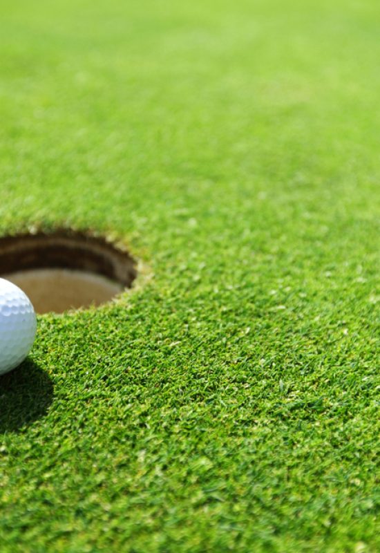 Best Golf Balls for Beginners